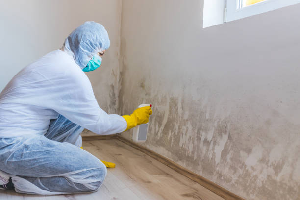 Licensed Bathroom Mold Removal service in Newberg, OR - WQB Mold Removal