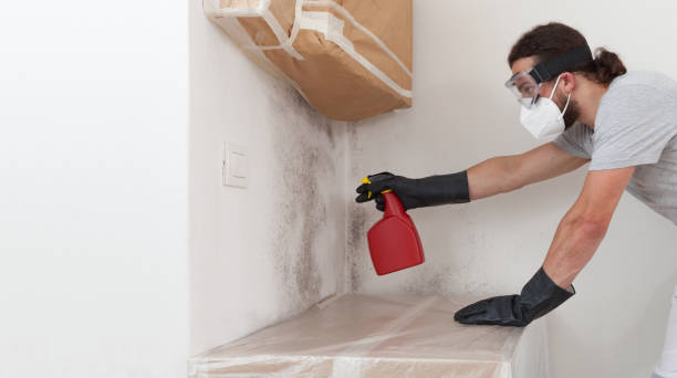 Professional Bathroom Mold Removal technician working in Newberg, OR