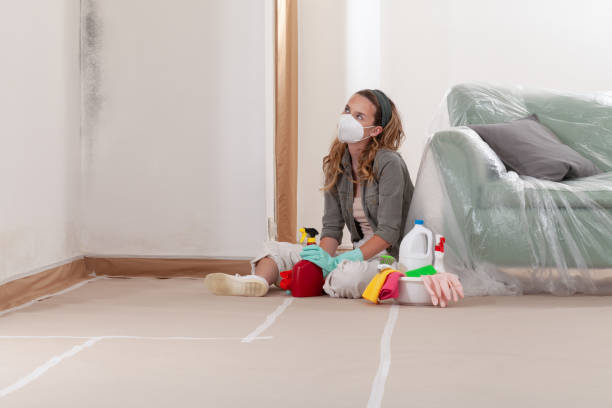 Reliable Bathroom Mold Removal contractor in Newberg, OR by WQB Mold Removal